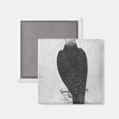 Hawk aan de hand magneet (Voorkant / Achterkant)
