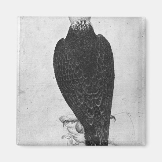 Hawk aan de hand magneet (Voorkant)