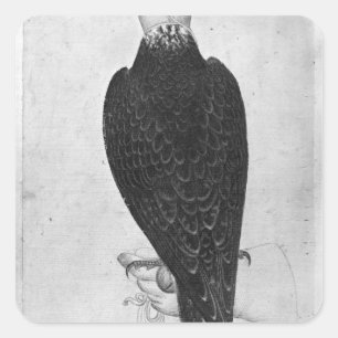 Hawk aan de hand vierkante sticker