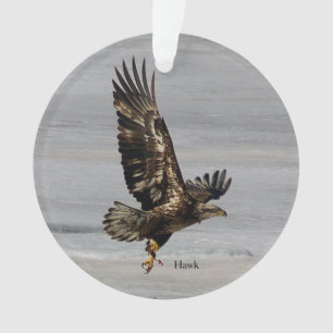 Hawk-arcylisornament Ornament