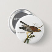 Hawk, Audubon, Birdwatcher's Bird Ronde Button 5,7 Cm (Voorkant /achterkant)