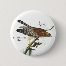 Hawk, Audubon, Birdwatcher's Bird Ronde Button 5,7 Cm