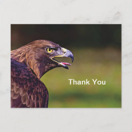 Hawk bedankkaart briefkaart