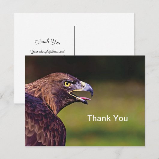 Hawk Bedankkaart Briefkaart (Voorkant / Achterkant)