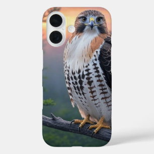 Hawk bij zonsondergang iPhone 16 hoesje