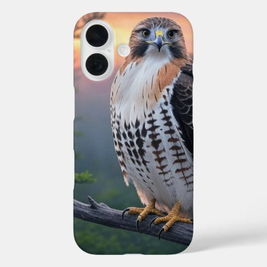 Hawk bij zonsondergang Case-Mate iPhone case (Achterkant)
