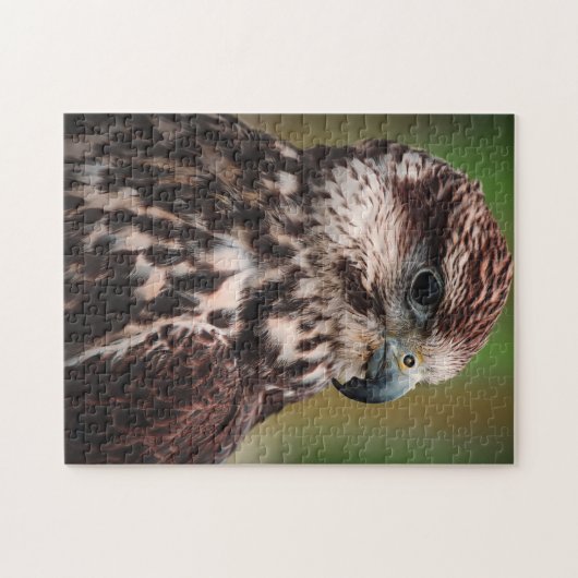 Hawk Bird of Prey Legpuzzel (Horizontaal)