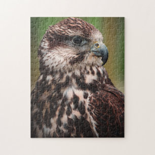 Hawk Bird of Prey Legpuzzel