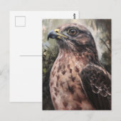 Hawk Briefkaart (Voorkant / Achterkant)
