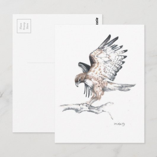 Hawk Briefkaart (Voorkant / Achterkant)