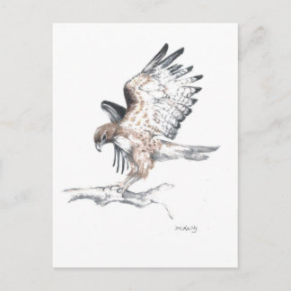 Hawk Briefkaart