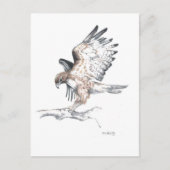 Hawk Briefkaart (Voorkant)