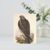 Hawk Briefkaart (Staand voorkant)