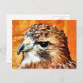 HAWK BRIEFKAART (Voorkant / Achterkant)