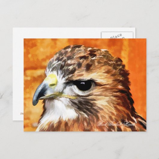 HAWK BRIEFKAART (Voorkant / Achterkant)