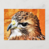 HAWK BRIEFKAART (Voorkant)