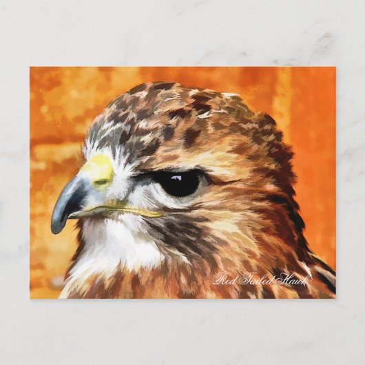 HAWK BRIEFKAART (Voorkant)