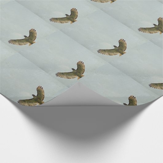 Hawk Cadeaupapier (Hoek)