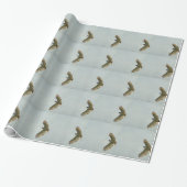 Hawk Cadeaupapier (Uitgerold)