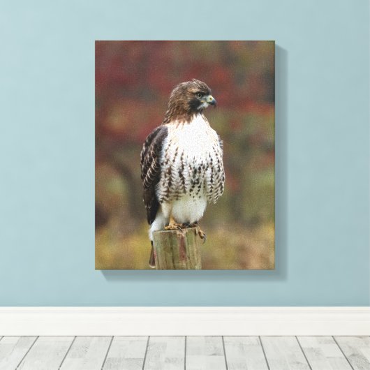 Hawk Canvas Afdruk (Insitu (Houten vloer))