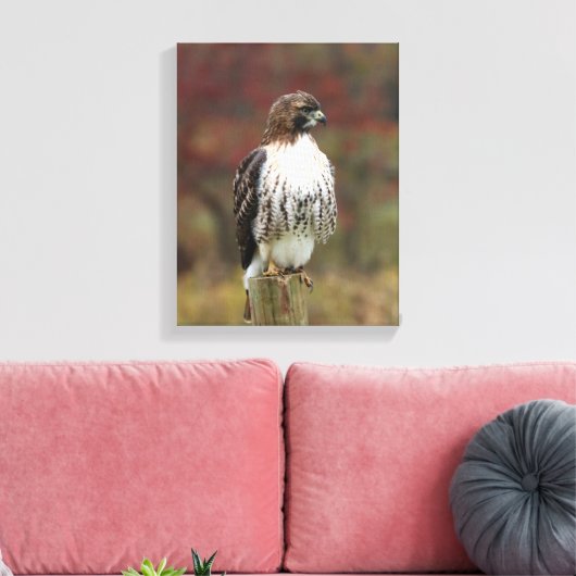 Hawk Canvas Afdruk (Insitu (Woonkamer))