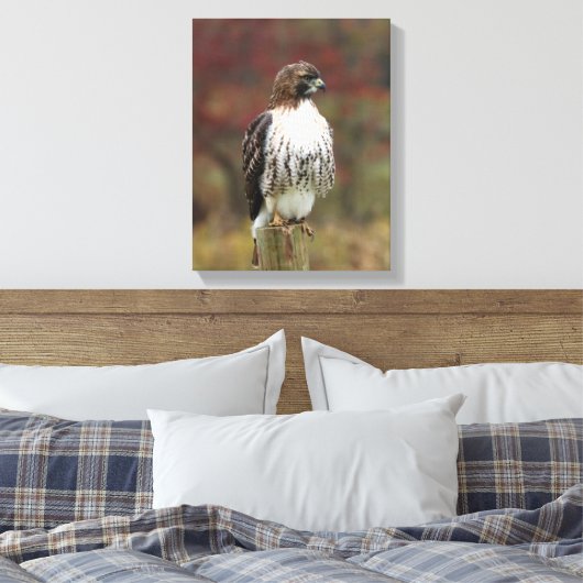 Hawk Canvas Afdruk (Insitu (Slaapkamer))