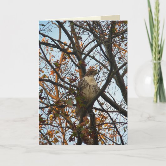 Hawk Day Kaart (Voorkant)