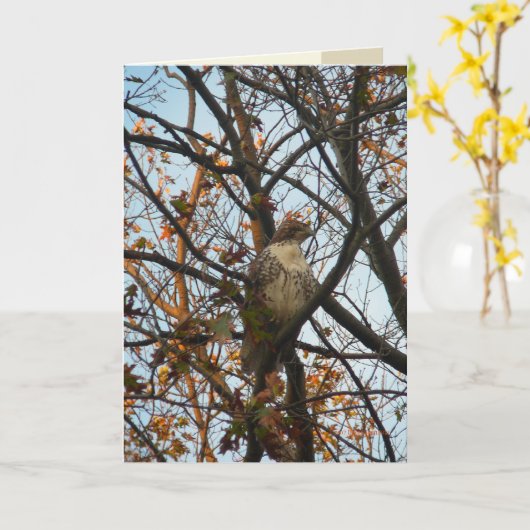 Hawk Day Kaart (Gele Bloem)