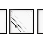 Hawk en Crow op Powerlines Poster