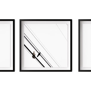 Hawk en Crow op Powerlines Poster