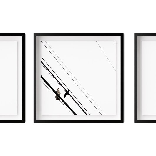 Hawk en Crow op Powerlines Poster