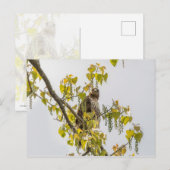 Hawk en harten briefkaart (Voorkant / Achterkant)