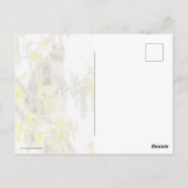 Hawk en harten briefkaart (Achterkant)