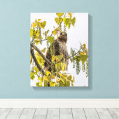 Hawk en harten canvas afdruk (Insitu (Houten vloer))