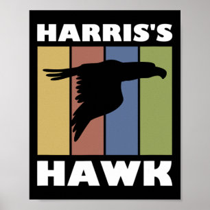Hawk Falcon Hunter Poster