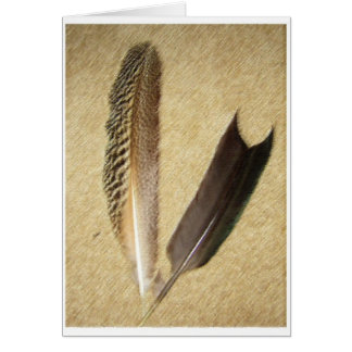 Hawk Feathers