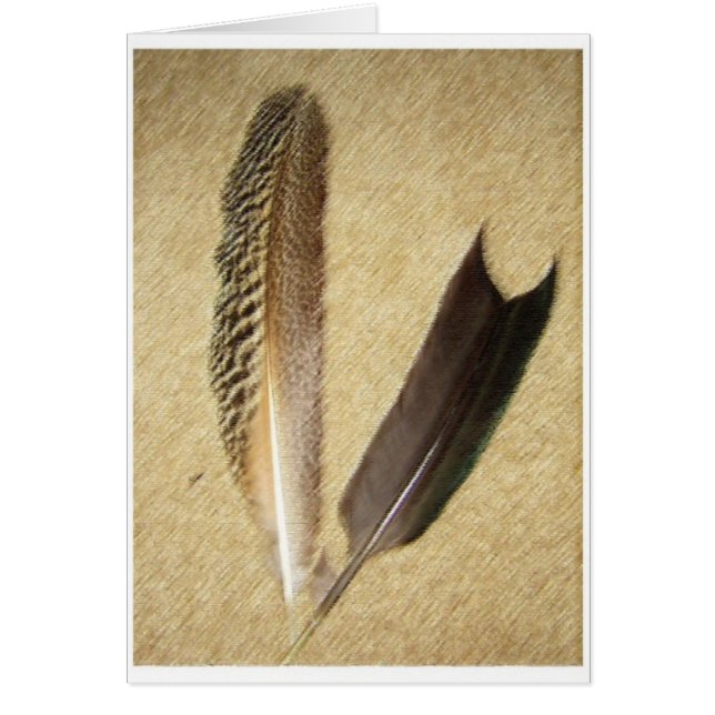 Hawk Feathers (Voorkant)