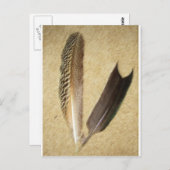 Hawk Feathers Briefkaart (Voorkant / Achterkant)