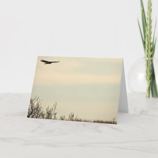 Hawk Flying High Note Kaart (Voorkant)