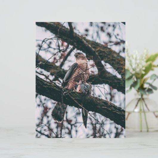 Hawk-fotoprint (Staand voorkant)
