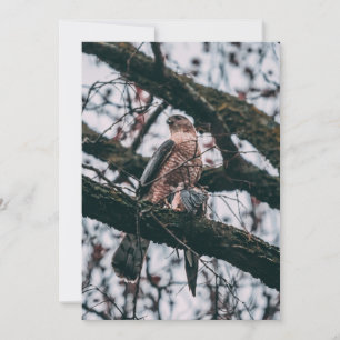 Hawk-fotoprint Feestdagenkaart