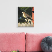 Hawk gewikkeld canvas print (Insitu (Woonkamer))