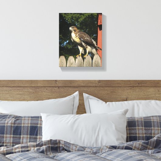 Hawk gewikkeld canvas print (Insitu (Slaapkamer))