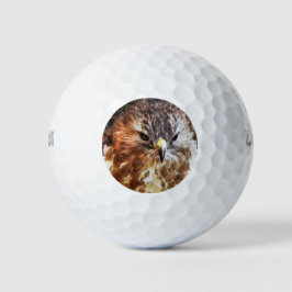 HAWK GOLFBALLEN