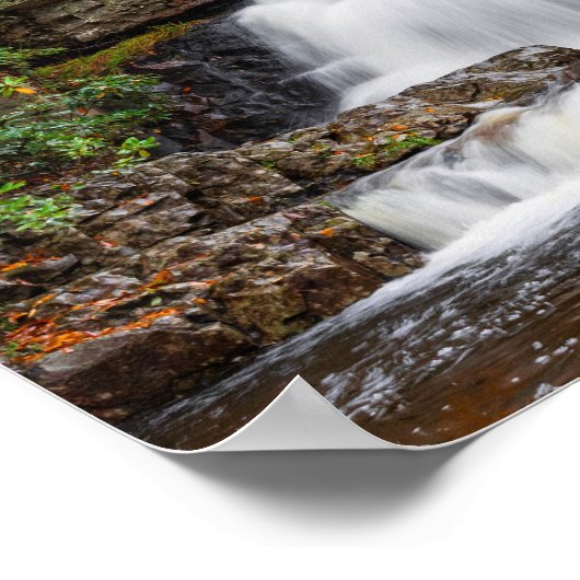 Hawk-Herfsten in het najaar 14x11" Poster (Hoek)