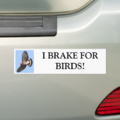 Hawk, ik REM FORBIRDS. Bumpersticker (Op auto)