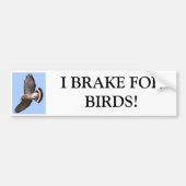 Hawk, ik REM FORBIRDS. Bumpersticker (Voorkant)