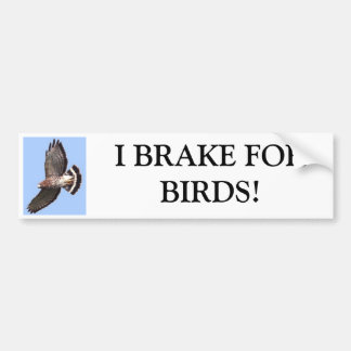 Hawk, ik REM FORBIRDS. Bumpersticker
