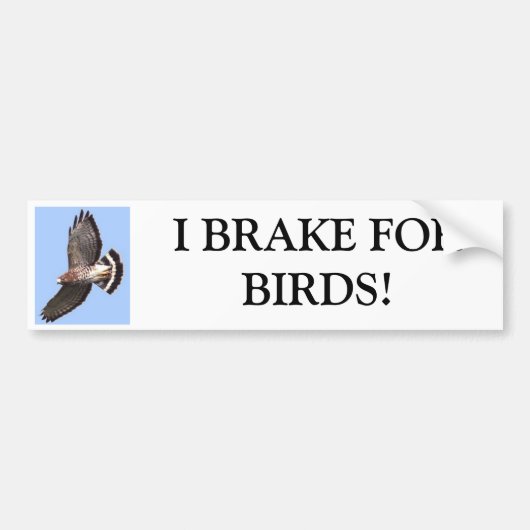 Hawk, ik REM FORBIRDS. Bumpersticker (Voorkant)