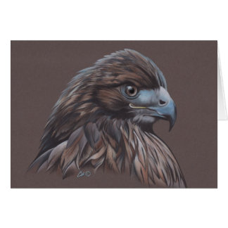 Hawk in gekleurd potlood